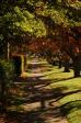 Robertson NSW street 4